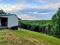 189 Acres Cemetery Ridge, Cabin Cre : Linden : Perry County : Tennessee