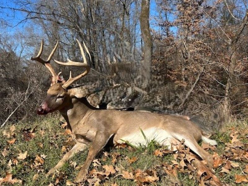 Timberland Paradise Camp, Hunt : Vicksburg : Warren County : Mississippi