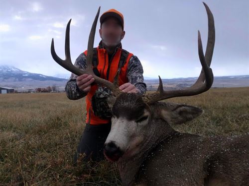 Jay Creek Hunting Ranch : Hotchkiss : Delta County : Colorado