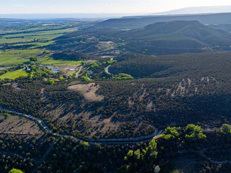Jay Creek Hunting Ranch : Hotchkiss : Delta County : Colorado