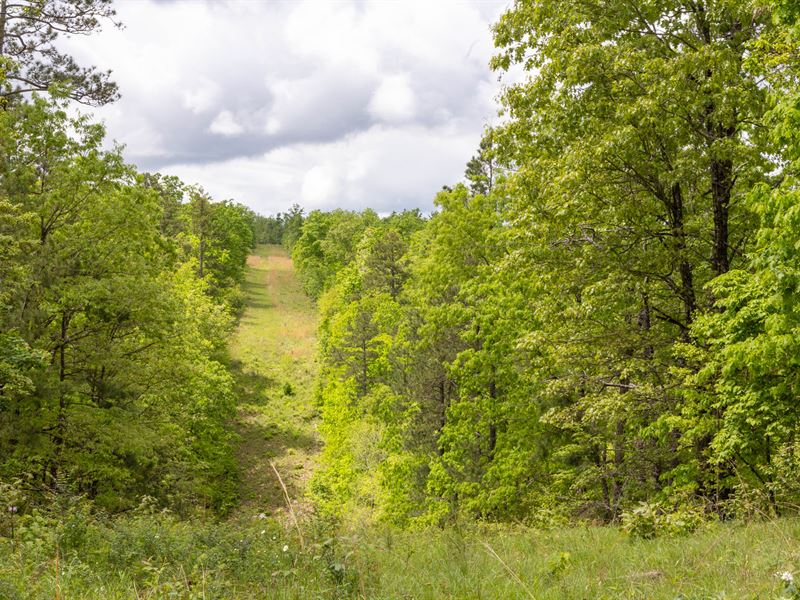 $499 Down/No Credit Check : Hartshorn : Texas County : Missouri