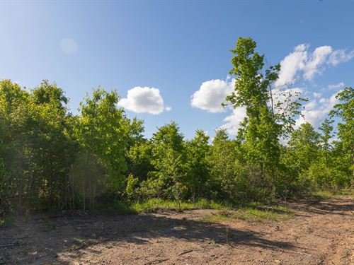 $999 Down/Multiple Tracts : Hartshorn : Texas County : Missouri