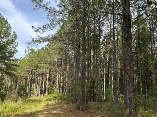 103 Ac Cr7 Conecuh Co, AL : Repton : Conecuh County : Alabama