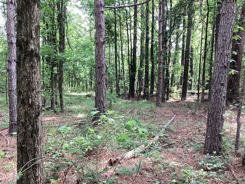15 Acres in Howard County, AR : New Hope : Howard County : Arkansas