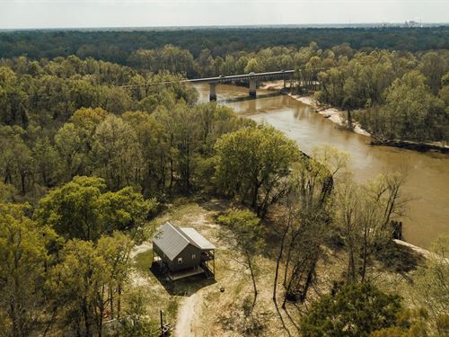34 Acres With a Cabin in Pearl Rive : Poplarville : Pearl River County : Mississippi