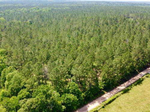 38 Acres in Chambers County, AL : Lanett : Chambers County : Alabama