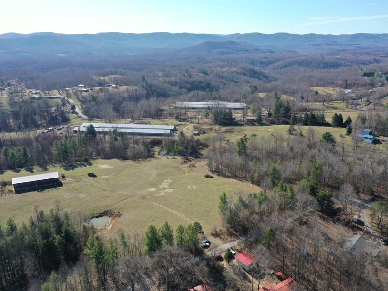 Big Branch Farm : Pine Knot : McCreary County : Kentucky