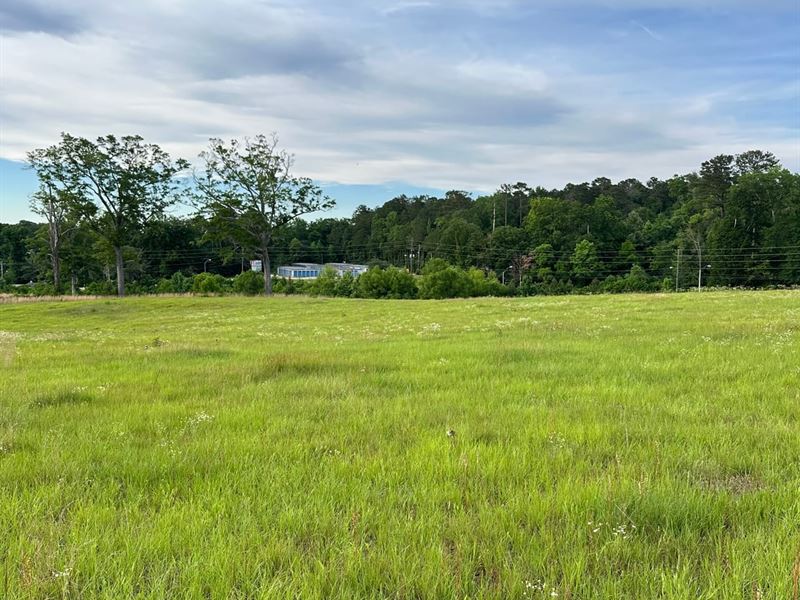 40 Ac Liberty Hill Drive : Evergreen : Conecuh County : Alabama