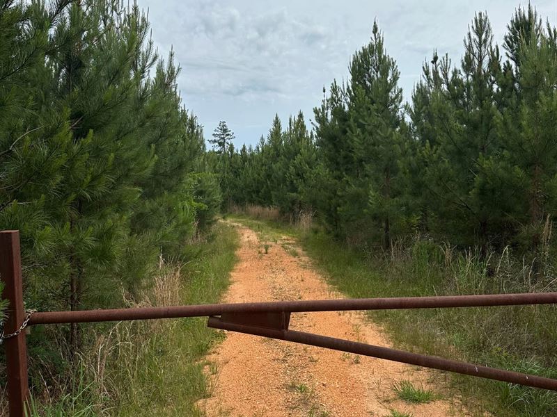 56 Ac Cooper's Lane : Repton : Conecuh County : Alabama