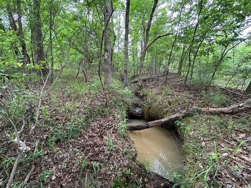 14.7 Acre Near The Lake : Eatonton : Putnam County : Georgia