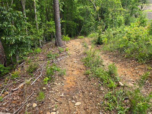 Munford Tract : Munford : Talladega County : Alabama