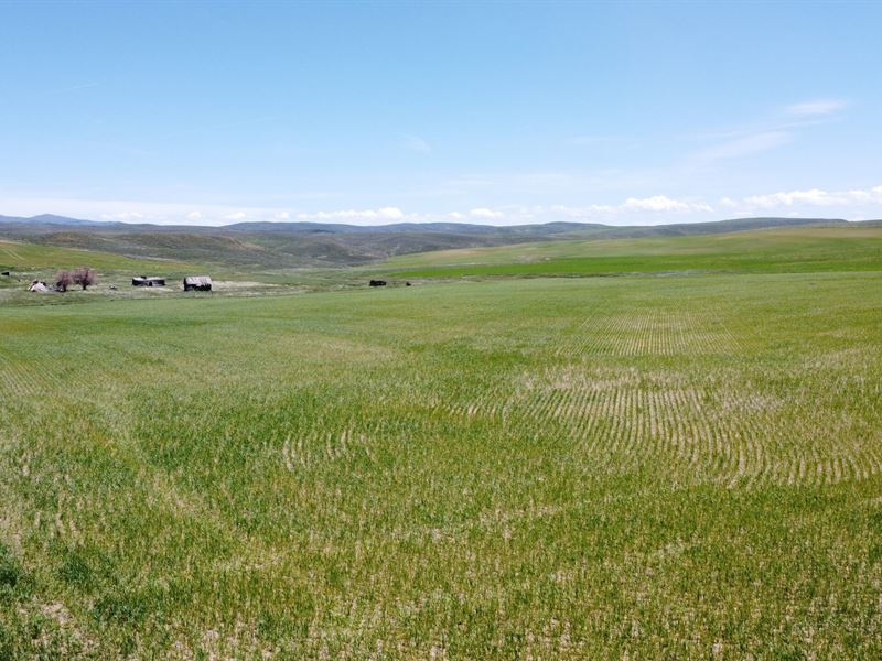 North Elkhead Tract 1 : Craig : Moffat County : Colorado