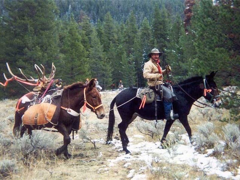 Outfitting Business for Sale Northe : Granby : Grand County : Colorado