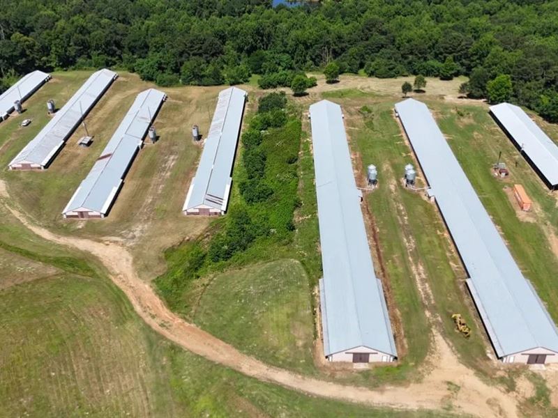 6 House Broiler Farm with Residence : Downsville : Ouachita Parish : Louisiana