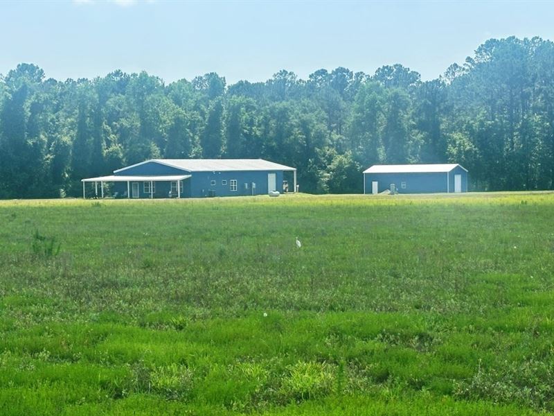 Cleary Road : Brooklet : Bulloch County : Georgia