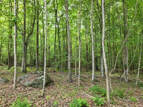 Dickert Tract 1 : Wadley : Randolph County : Alabama