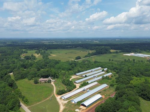 6 House Broiler Poultry Farm : Canon : Franklin County : Georgia