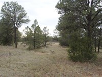 5.08 Acre in Cibola County, NM : El Morro : Cibola County : New Mexico