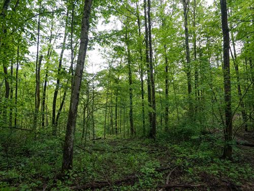 Twp Rd 460 Lot 2 22.683 : Woodsfield : Monroe County : Ohio