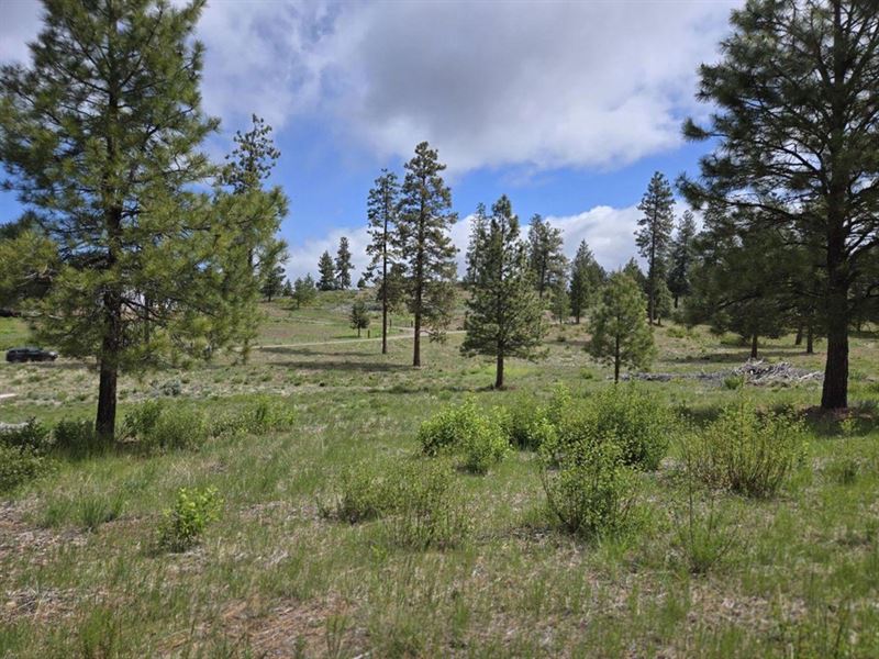 Beautiful 10 Acres : Chiloquin : Klamath County : Oregon