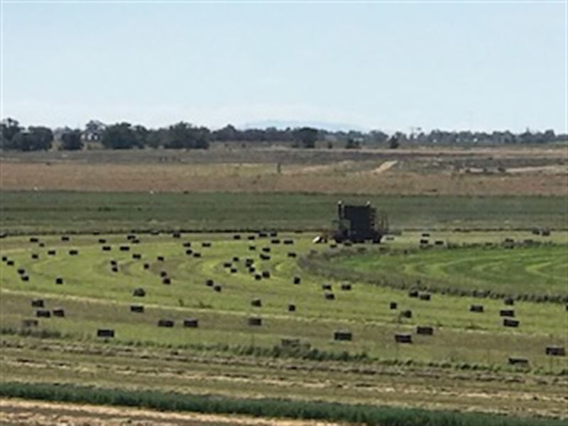 Productive Farm with Beautiful Home : Stanley : Santa Fe County : New Mexico