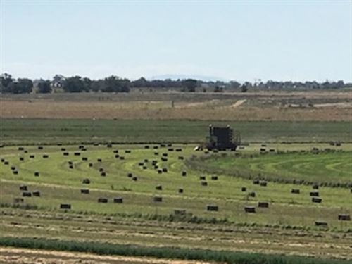 Productive Farm with Beautiful Home : Stanley : Santa Fe County : New Mexico