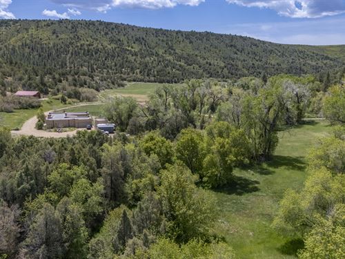 Cherry Creek Hideaway : Hesperus : La Plata County : Colorado