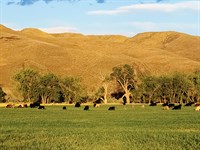 Lazy K-6 Ranch : Fort Benton : Chouteau County : Montana
