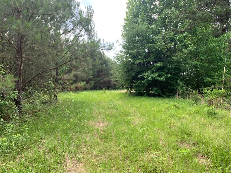 Overlook Road Mini-Farm : Blountsville : Blount County : Alabama