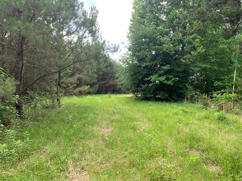 Overlook Road Mini-Farm : Blountsville : Blount County : Alabama