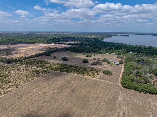 Carter Ranch, Polk County Acreage : Haines City : Polk County : Florida