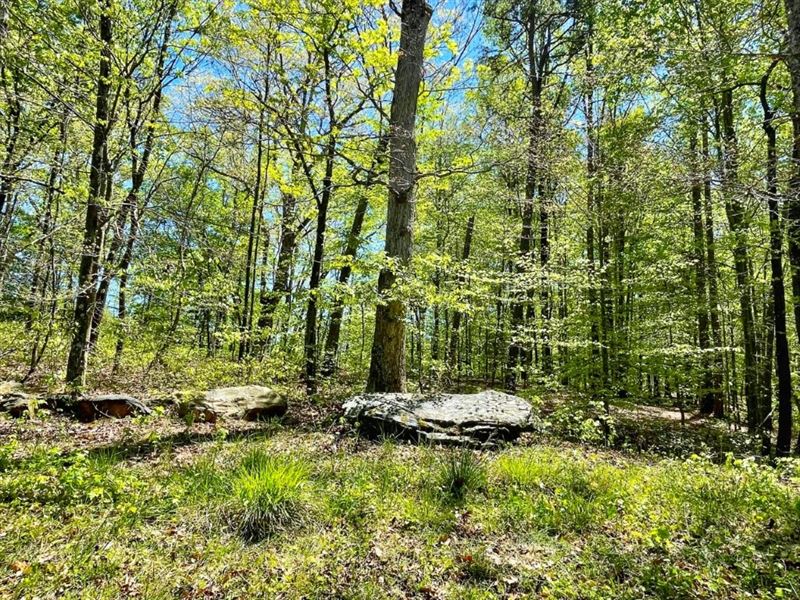 Reduced 5808 Hensley Road : Lula : Hall County : Georgia