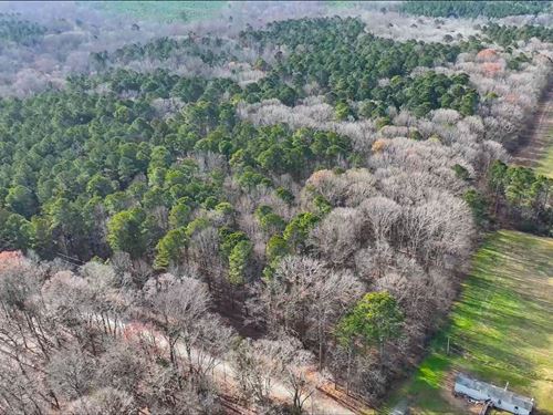 Wooded Acreage with Creek Frontage : Pittsboro : Chatham County : North Carolina