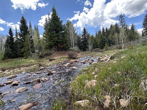 North Fork Meadows Ranch : Fort Bridger : Uinta County : Wyoming