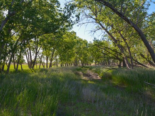 Timbered Draw 158 : Palco : Graham County : Kansas