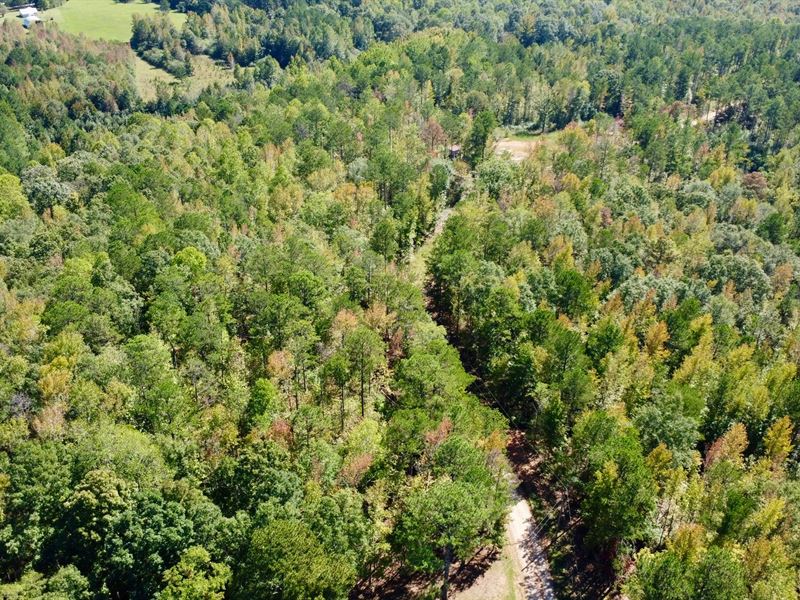 6 with Creek in Clay County, AL : Ashland : Clay County : Alabama