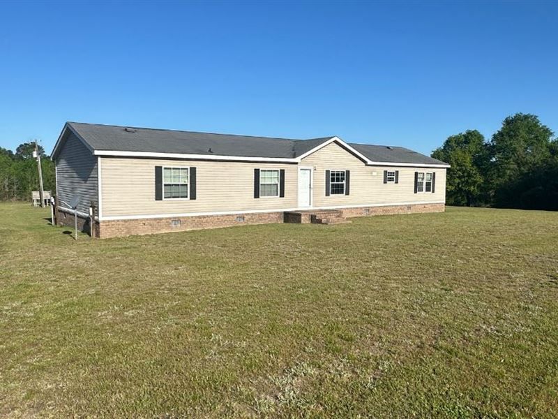 Oak Grove Lane : Sylvania : Screven County : Georgia