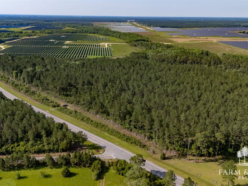 56 Ac Walton Co, Caney Creek Tr : Defuniak Springs : Walton County : Florida