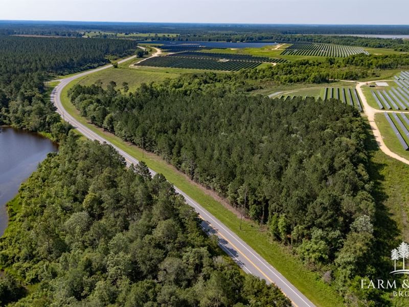 10 Ac Walton Co, County Hwy 0605 : Defuniak Springs : Walton County : Florida