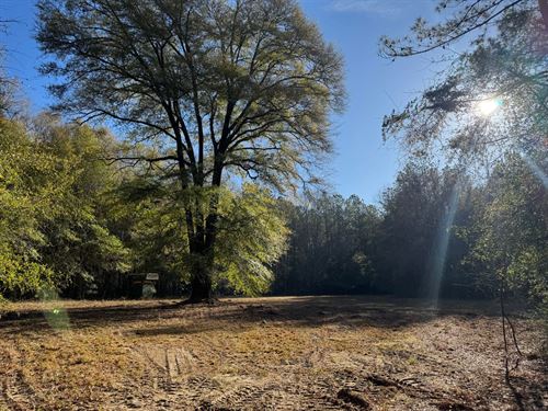 35 Acres Russell County : Seale : Russell County : Alabama