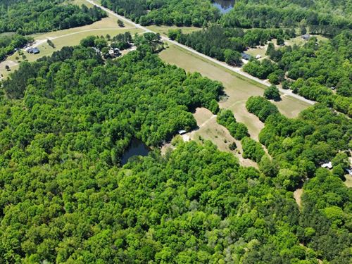 25 Acres Russell County : Seale : Russell County : Alabama
