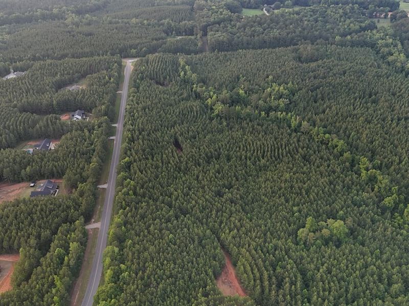 43 Acres Harris Co. GA : Waverly Hall : Harris County : Georgia