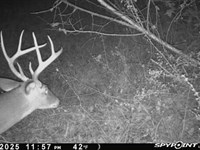 Waterfront Valley Creek Black Belt : Valley Grande : Dallas County : Alabama