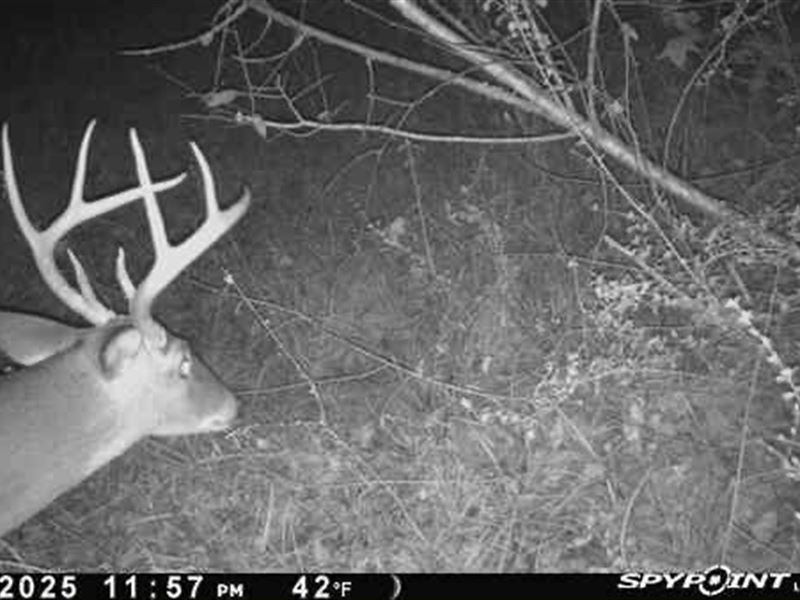 Waterfront Valley Creek Black Belt : Valley Grande : Dallas County : Alabama