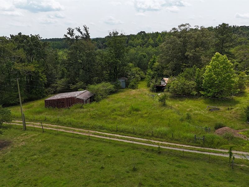 69 Ac. Near Lookout Mountain : Collinsville : Dekalb County : Alabama