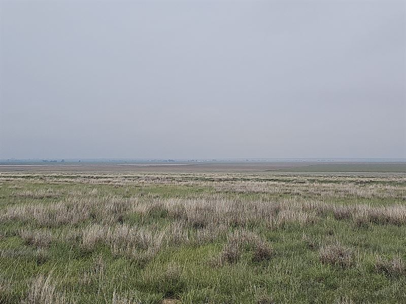 159.57 Acres of Crp for Sale : Lamar : Prowers County : Colorado