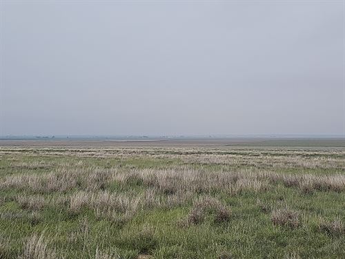 159.57 Acres of Crp for Sale : Lamar : Prowers County : Colorado