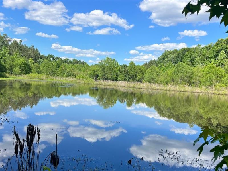 Bull Branch Road : Midville : Burke County : Georgia