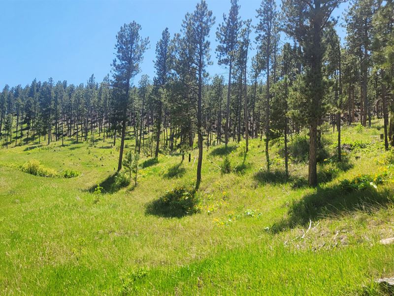 4P Properties : Newcastle : Weston County : Wyoming