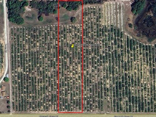 Mammoth Grove Road Lot 3 : Lake Wales : Polk County : Florida